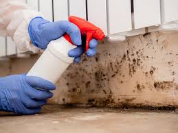 Best Attic Mold Removal  in Mill Hall, PA